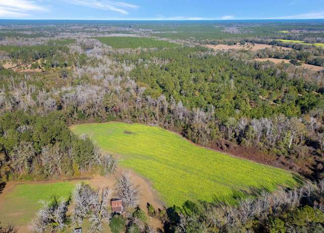 Property at XXX Barnes Rd, Monticello, FL 32344