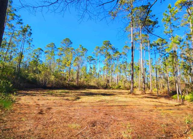 Property at Lot 116 SW Pier Rd, Greenville, FL 32331
