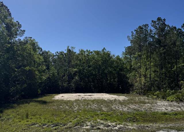 Property at xx Old Palmetto Path, St Marks, FL 32355