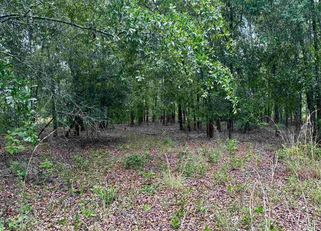 Property at 000 NE Jacaranda Ter, Lee, FL 32059