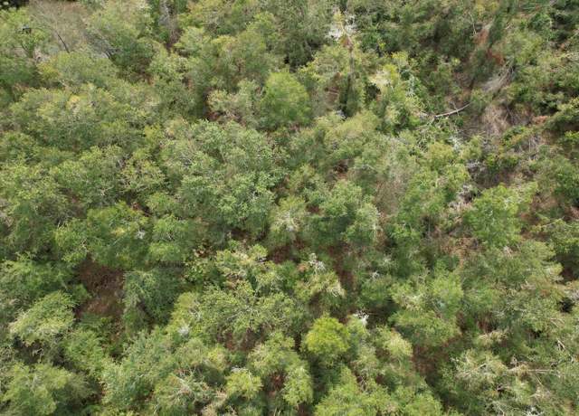 Property at Roosevelt, Mayo, FL 32066