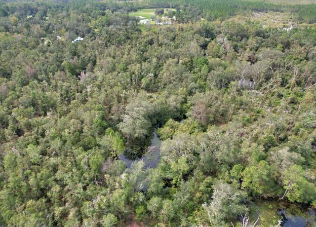 Property at Tbd, Mayo, FL 32066