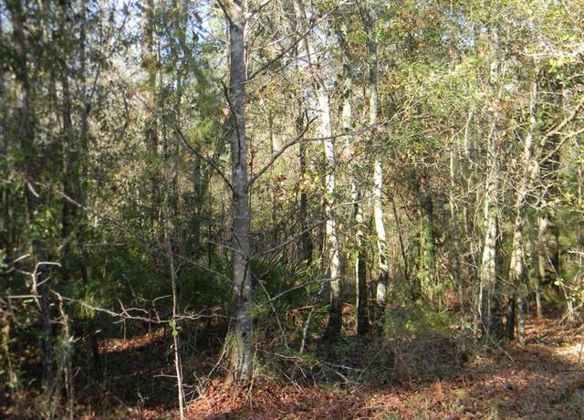 Property at XXX Gibson Rd Rd, Havana, FL 32333