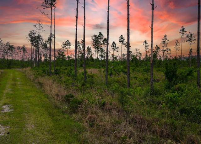 Property at Lot 50 Circle Block Loop Loop, Perry, FL