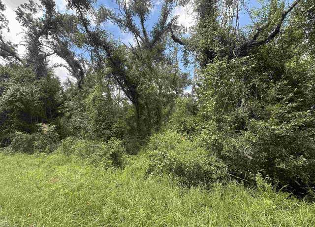Property at xxx NE River Country Trl, Lee, FL 32059
