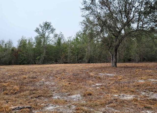 Property at SE Parliament Trl, Lee, FL 32059