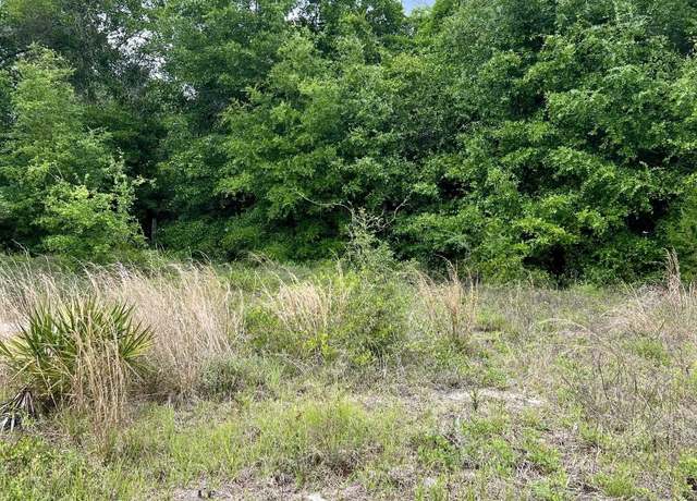 Property at 2523 Palmetto Ter, Lanark Village, FL 32323