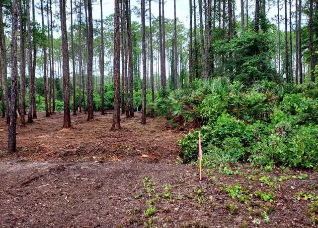 Property at 164 Royal Tern Way, Carrabelle, FL 32322