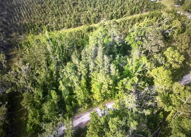 Property at 000 NE Rue Dr, Pinetta (madison County), FL 32350