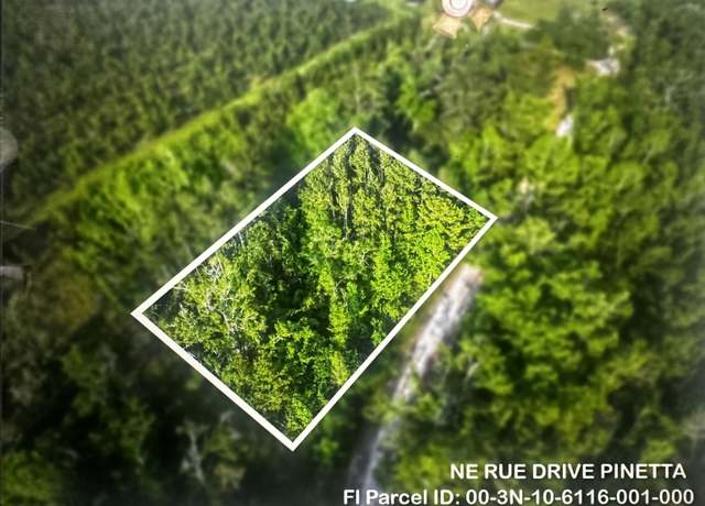 Property at 000 NE Rue Dr, Pinetta, FL 32350