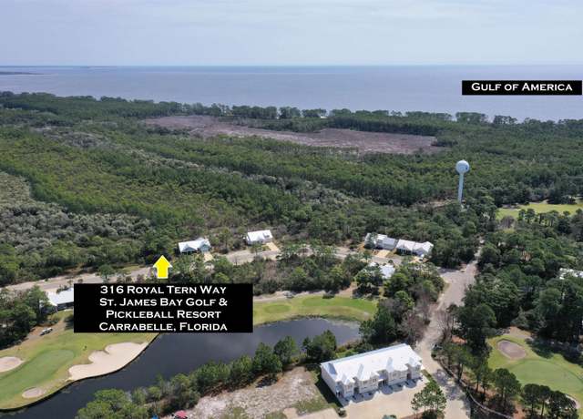 Property at 316 Royal Tern Way, Carrabelle, FL 32322
