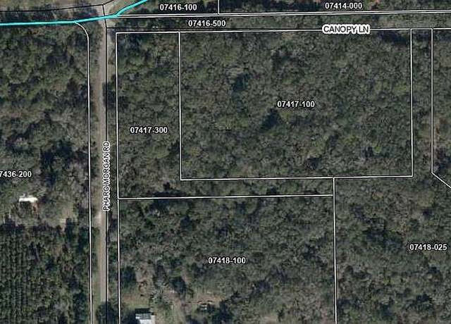 Property at 00 Pharo Morgan Rd, Perry, FL 32347