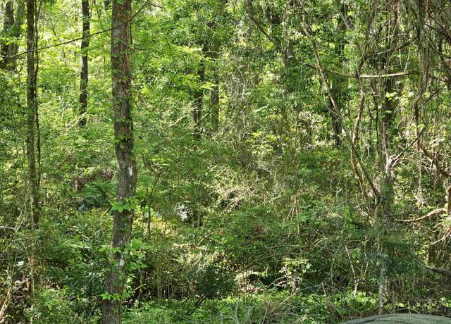 Property at XXXX Fred George Rd, Tallahassee, FL 32303