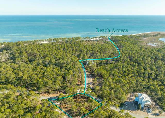 Property at 173 Lightining Bug Ln, St Teresa, FL 32358