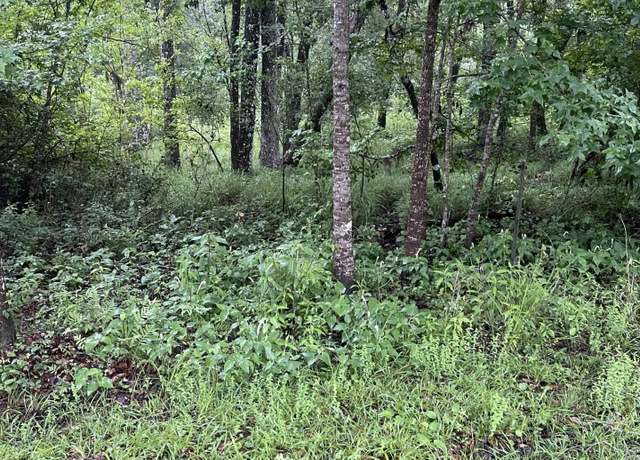 Property at 0 SE Kachina, Lee, FL 32059