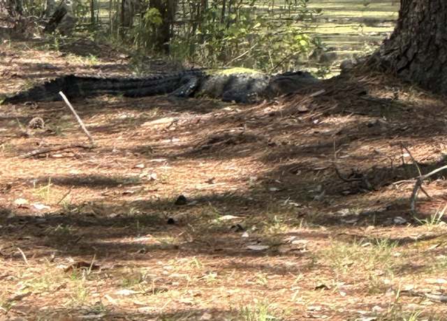 Property at S Quitman N Us 221, Greenville, FL 32331