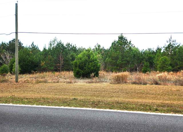 Property at xxx NW Freeman Rd, Bristol, FL 32321