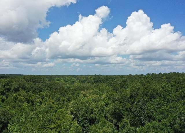 Property at XX S Lanier Rd, Havana, FL 32333
