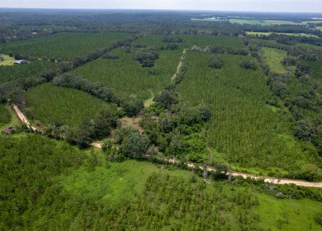 Property at xxx NE Geranium St, Madison, FL 32340
