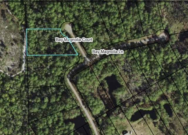Property at 146 Bay Magnolia Ct, Carrabelle, FL 32322
