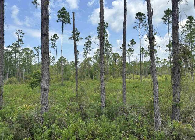 Property at Tract 90 Circle Block Loop Loop, Perry, FL 32348