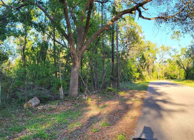 Property at Lot 21 Canopy Ln, Perry, FL 32347