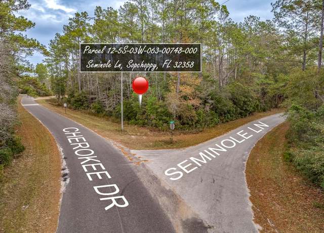 Property at 81 Cherokee Dr, Sopchoppy, FL 32358