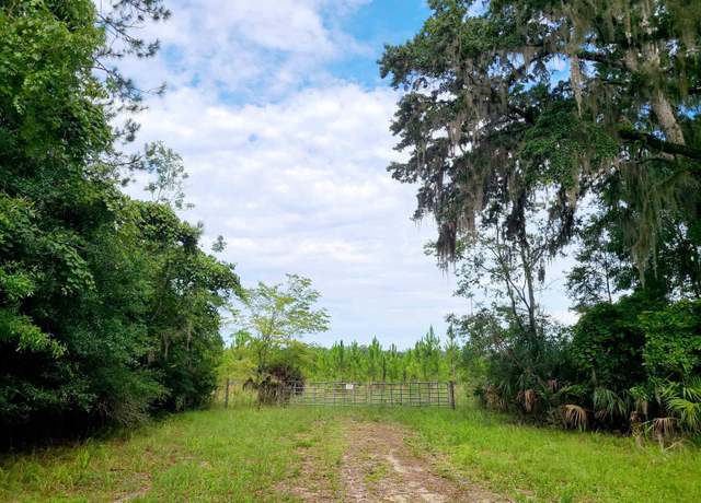 Property at 42.41 acres NE 247th Ave, Cross City, FL