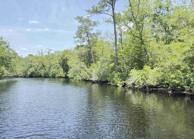Property at XX Maleah Ln, Sopchoppy, FL 32358