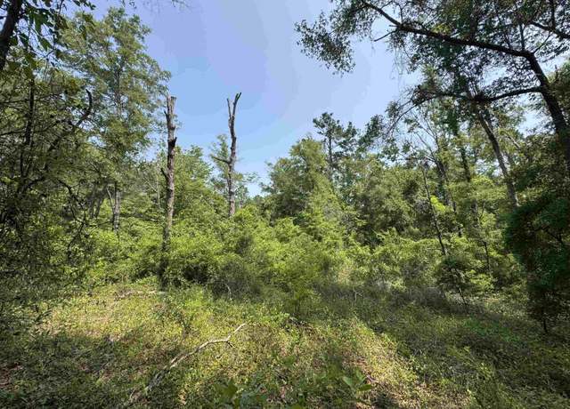 Property at 0 Tern Rd, Tallahassee, FL 32305