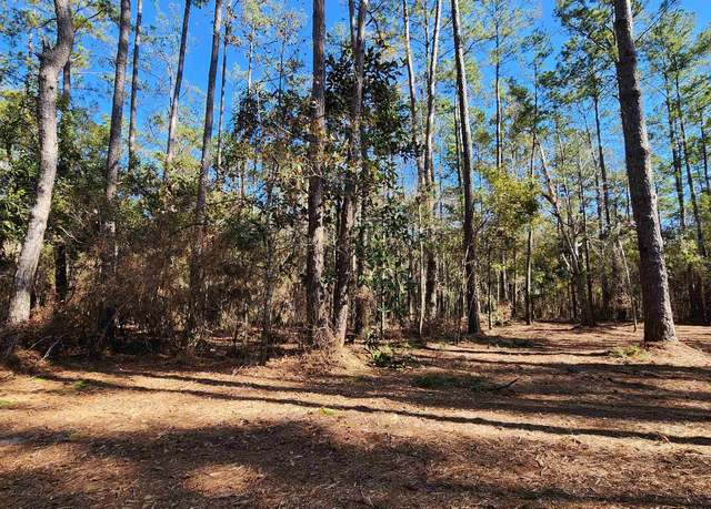 Property at xxx Cherokee Dr, Sopchoppy, FL 32358