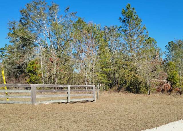 Property at 40 AC SE Winquepin St, Lee, FL 32059