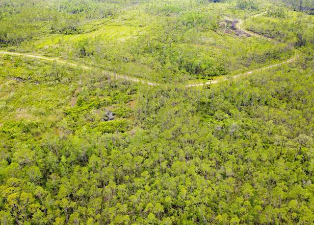 Property at Tract 82 Circle Block Loop, Perry, FL 32348