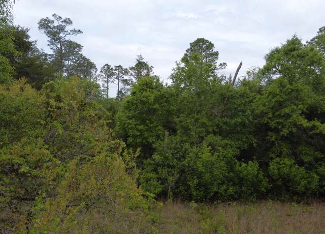 Property at 44271 SW Fr 115, Bristol, FL 32321