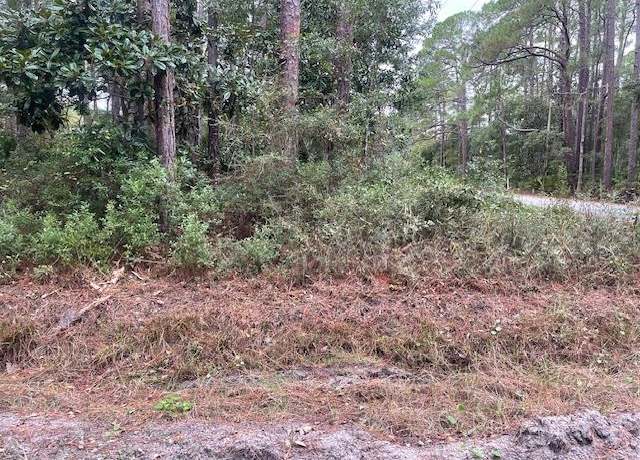 Property at XXX Chipola St, Panacea, FL 32346