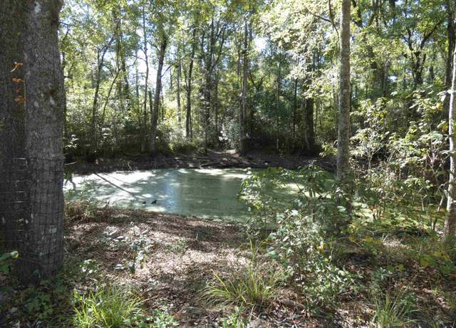 Property at TBD Namon Spears Rd, Crawfordville, FL 32327