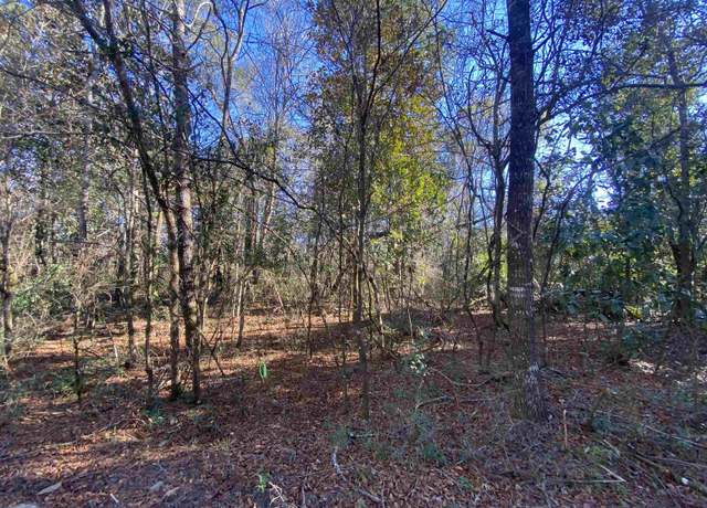 Property at xxx J K Moore Rd, Crawfordville, FL 32327
