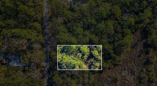 Photo of Lot 6, Crabapple Ln, St Marks, FL 32355