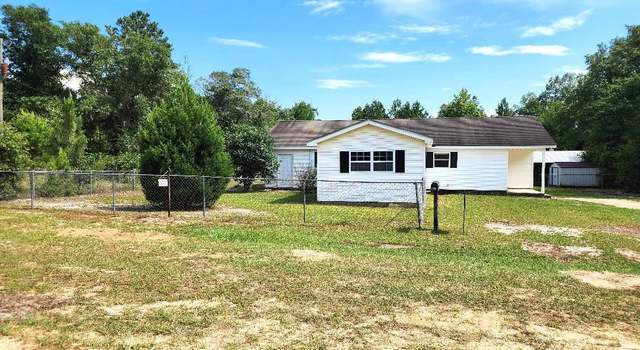 Photo of 22715 NE Beagle Dr, Hosford, FL 32334
