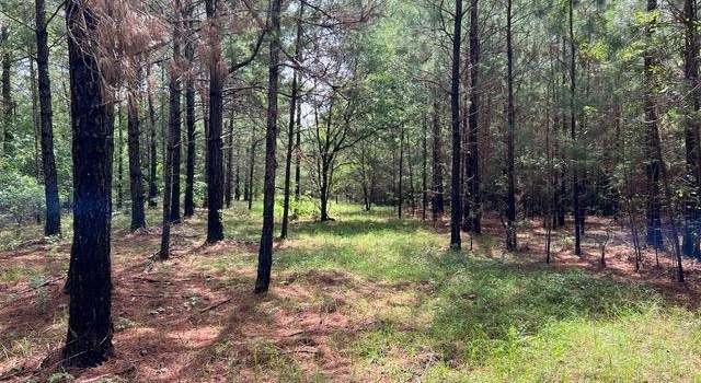 Photo of XX Orchard Rd, Quincy, FL 32351
