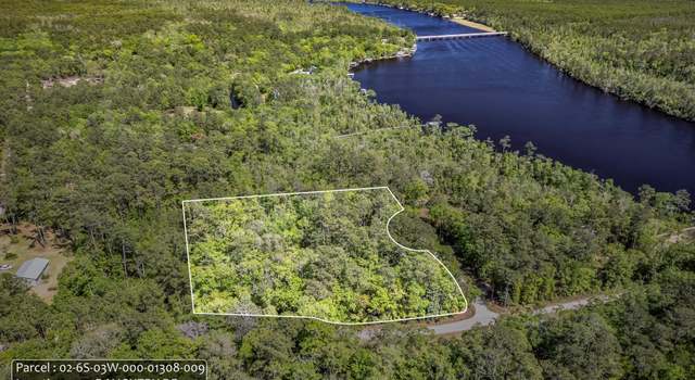 Photo of 135 Daughtry Dr, Sopchoppy, FL 32358