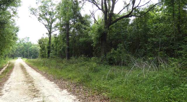 Photo of TBD Devane Rd, Monticello, FL 32344