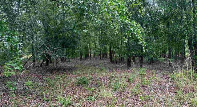 Photo of 000 NE Jacaranda Ter, Lee, FL 32059