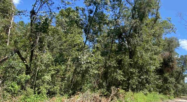 Photo of Vacant NE Withlacoochee Shores Ln, Lee, FL 32059