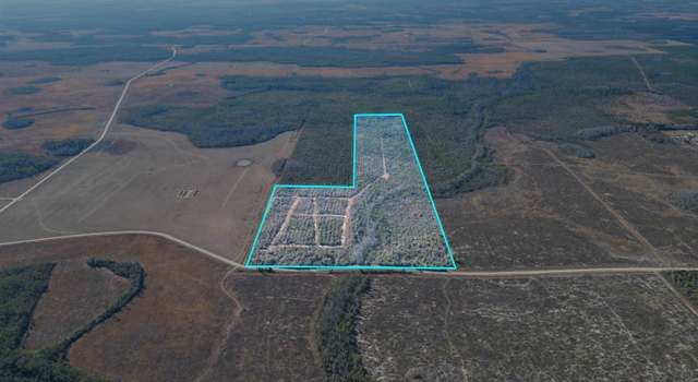 Photo of xxx SW 73, Other Florida, FL 32449