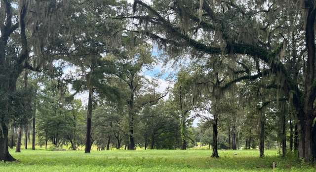 Photo of Lot 4 Pine Fair Way, Tallahassee, FL 32309