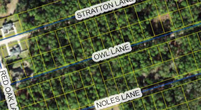Photo of XX Owl Ln, Crawfordville, FL 32327