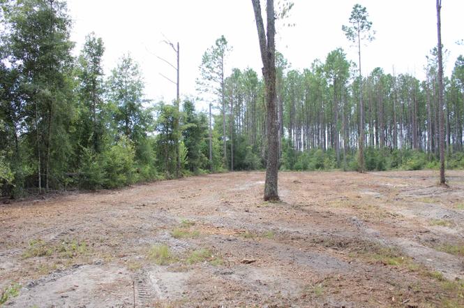 TBD 209th Ct, LIVE OAK, FL 32060 | MLS# 341711 | Redfin