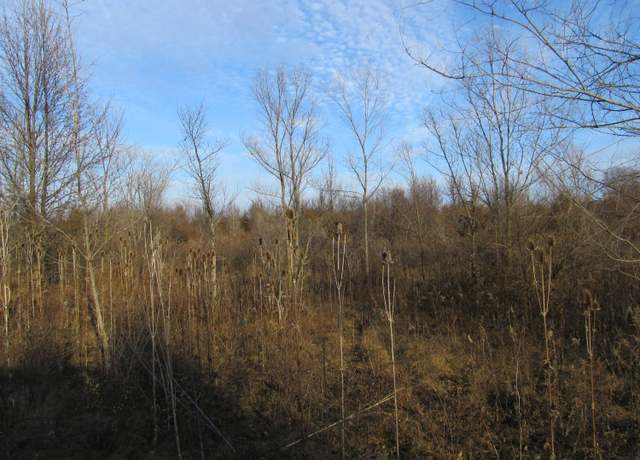 Property at 0-Lot 11 Grant St, Merrillville, IN 46410