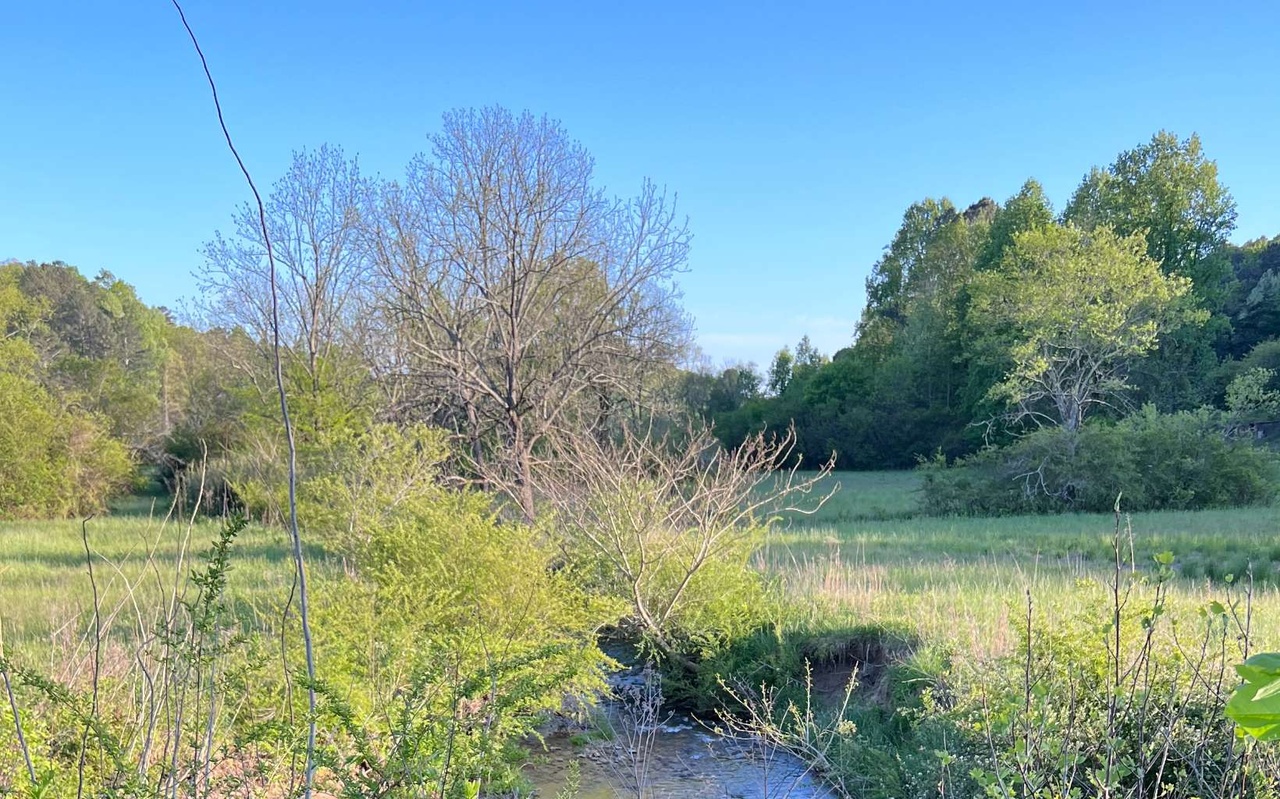 11 AC Old Highway 5 S, Talking Rock, GA 30175 | MLS# 324447 | Redfin